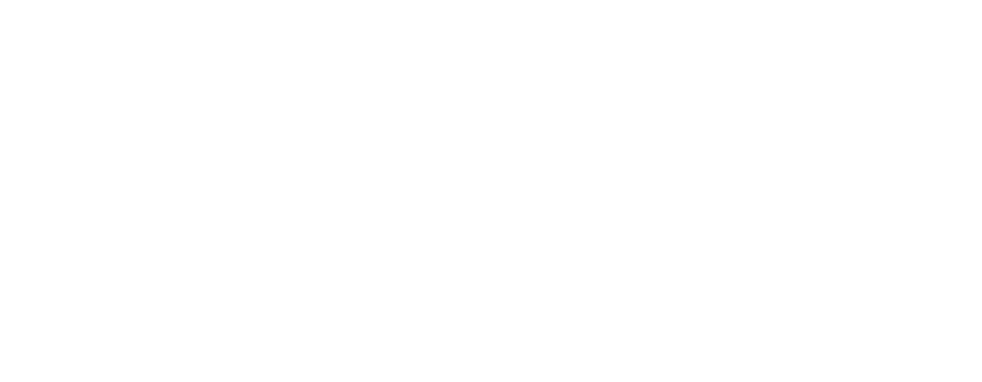 Villages of Magnolia Logo